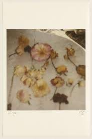 Cy Twombly | Light Flowers V (Gaeta) (2008) | Artsy