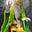 Will Coker's avatar