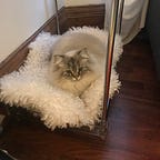 Alex’s Newsletter
