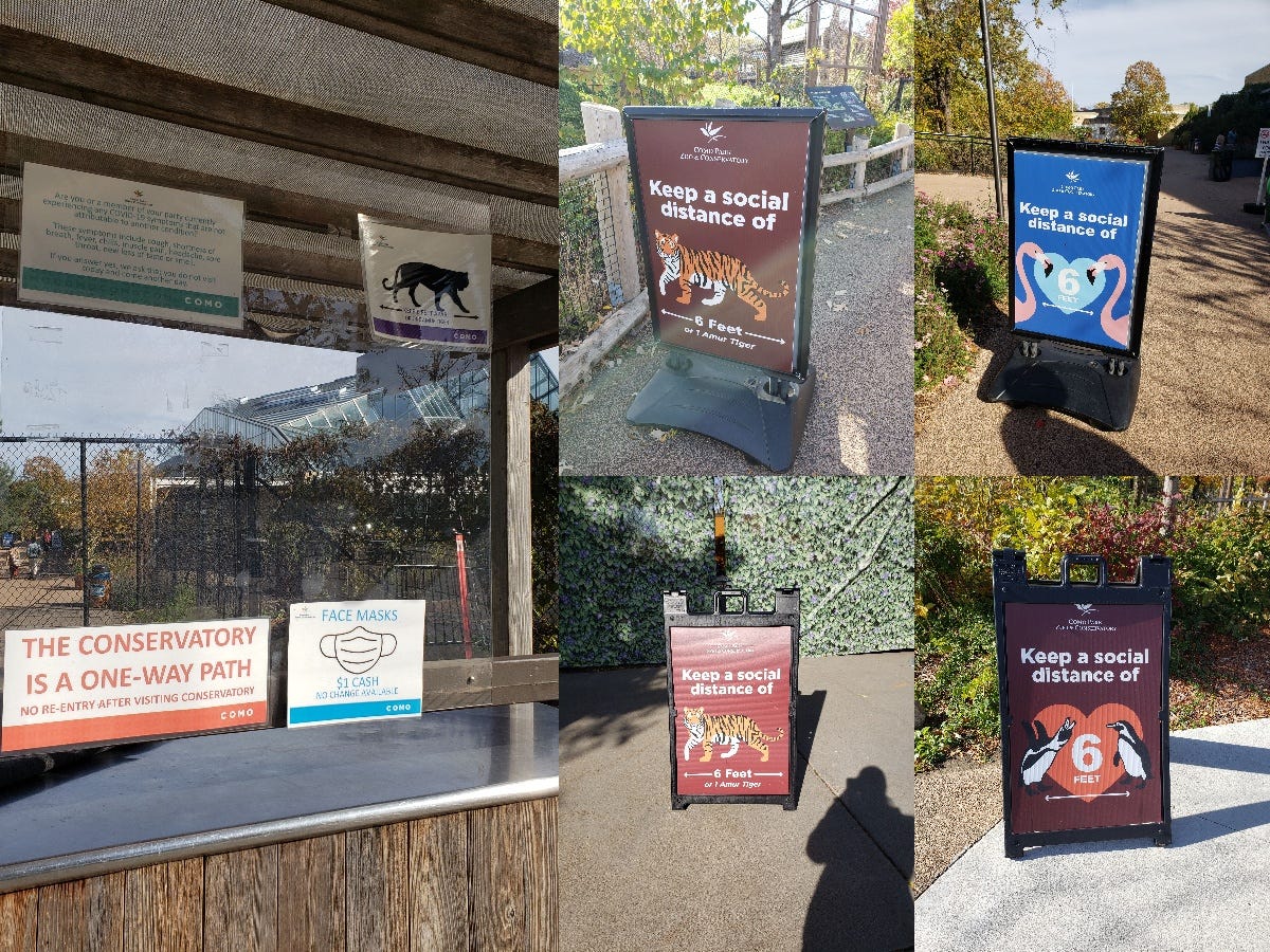 A collage of five photos showing social distancing signage at Como zoo. Most signs say Keep a social distance of 6 feet. A couple of them show the size of a tiger to demonstrate what 6 feet is.