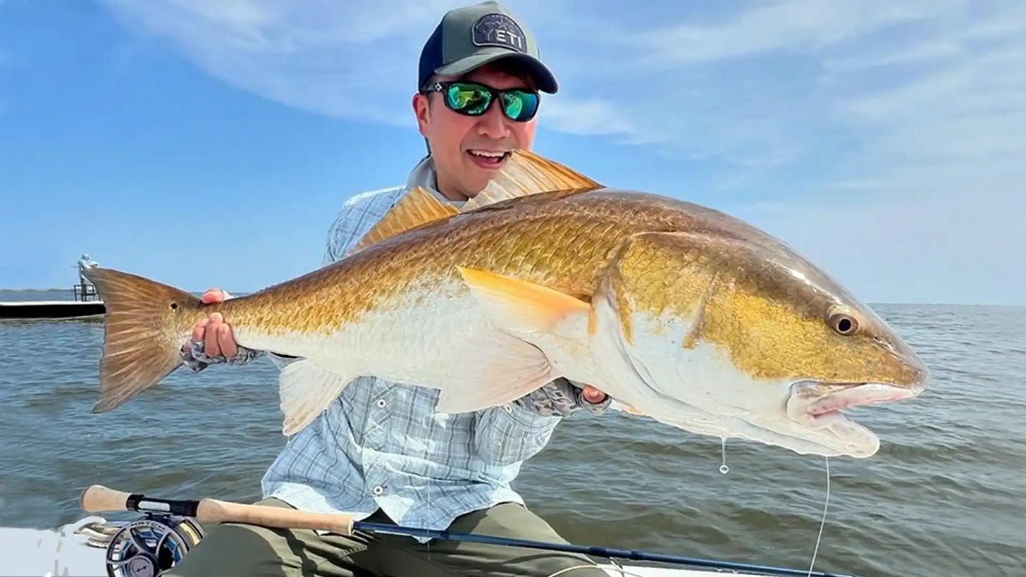 Angler with Venice Redfish while flyfishing the Mississippi Delta with Sportsman's Lodge.