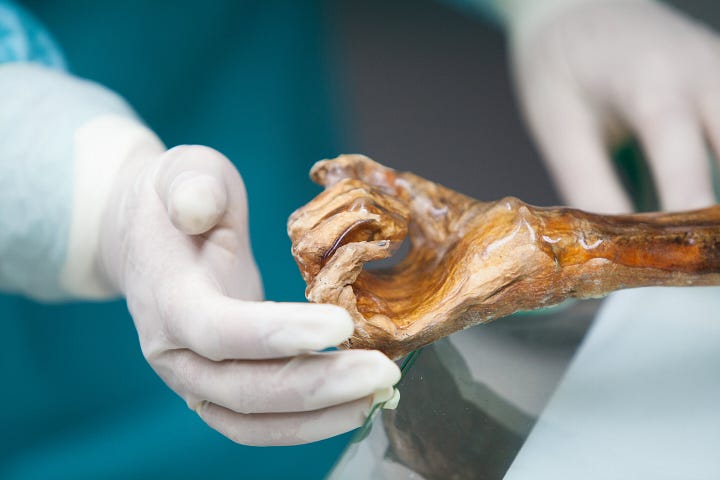 The Iceman mummy is preserved in a refrigeration chamber at a constant temperature of -6° C and a relative humidity of 99%. Credit: South Tyrol Museum of Archaeology / Eurac Research/Marion Lafogler