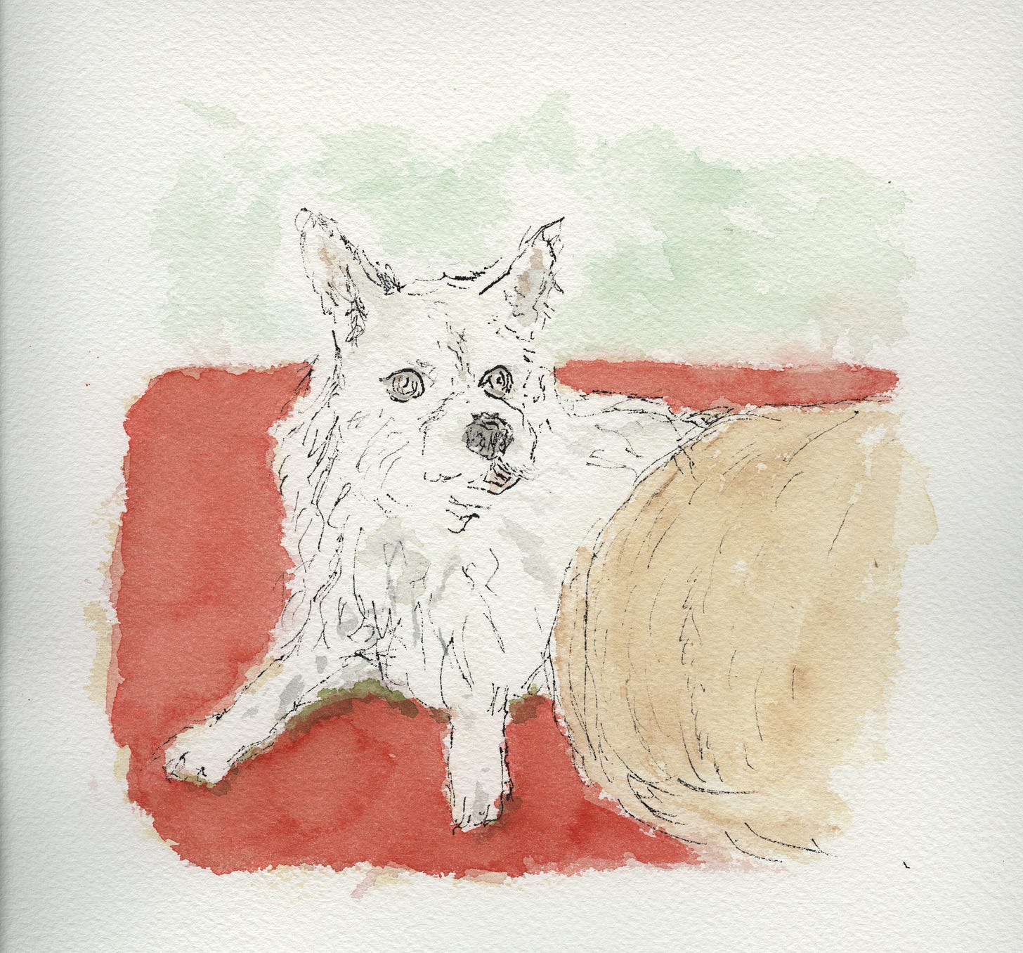 painting of Caroline Weber's dog Penny by Sarah Hauser