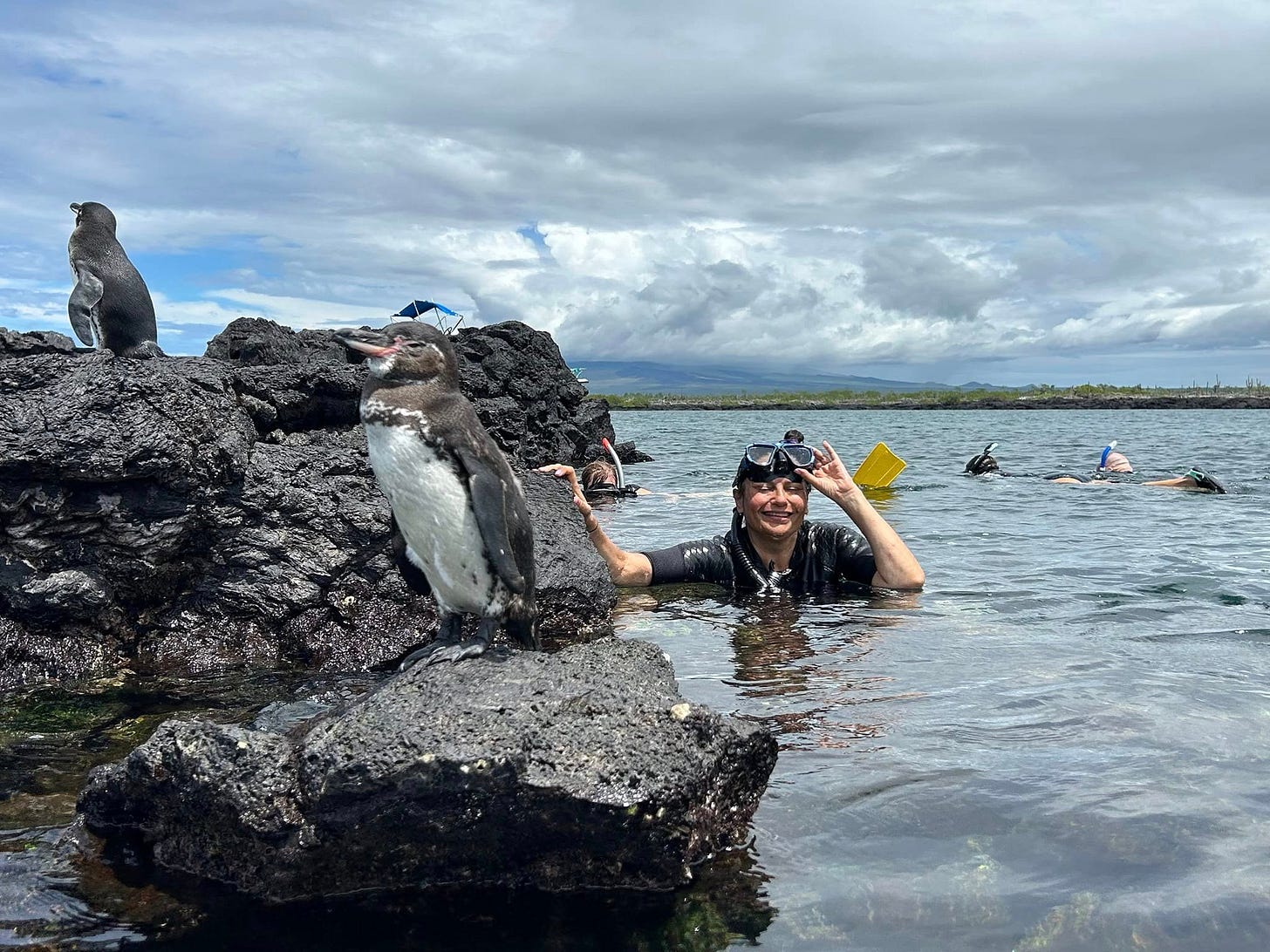 Autora haciendo snorkeling en Isabela, Galápagos con pinguinos.