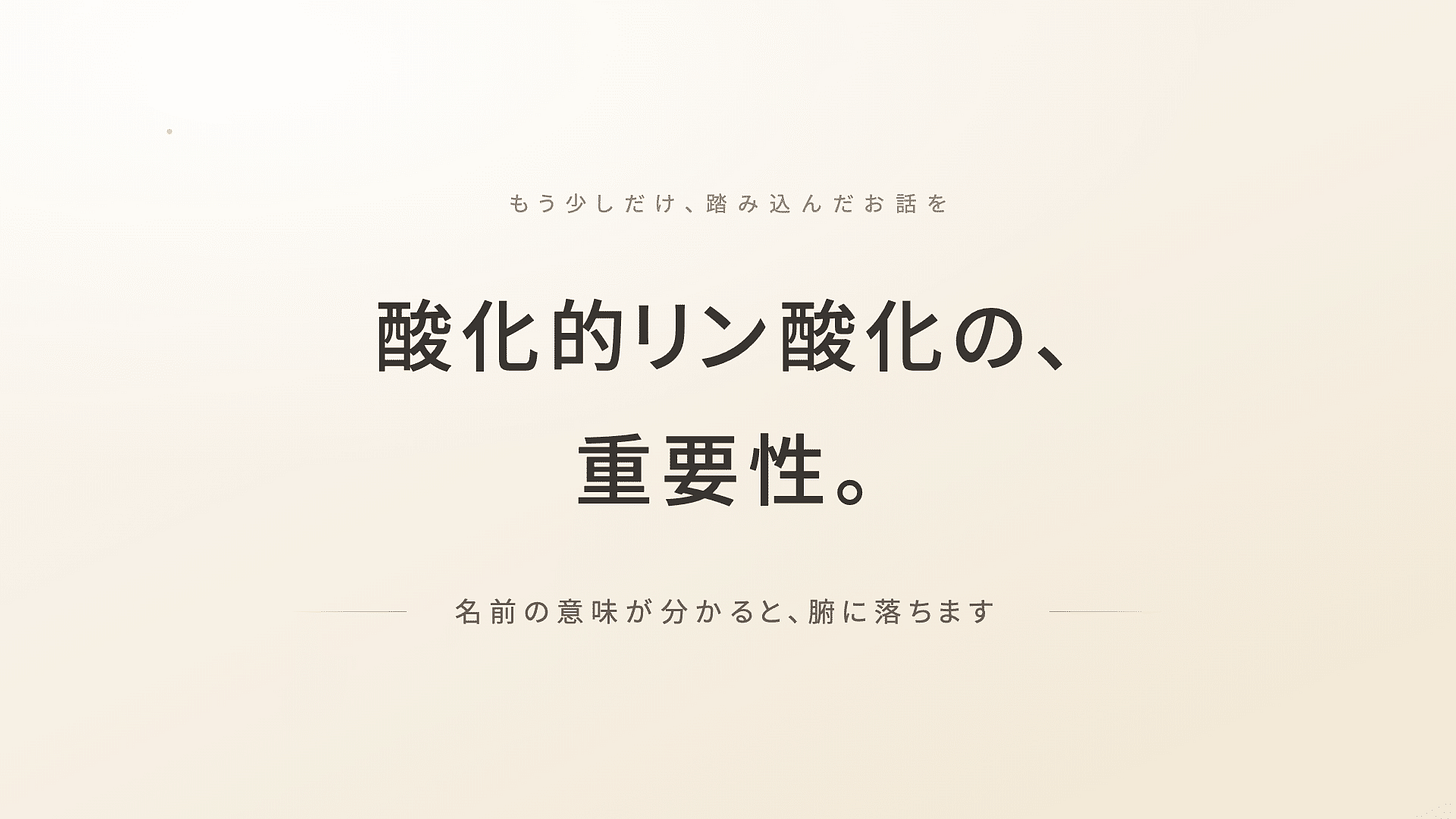 解糖系クエン酸回路電子伝達系 | 精密栄養学 解糖系クエン酸回路電子伝達系 | 精密栄養学