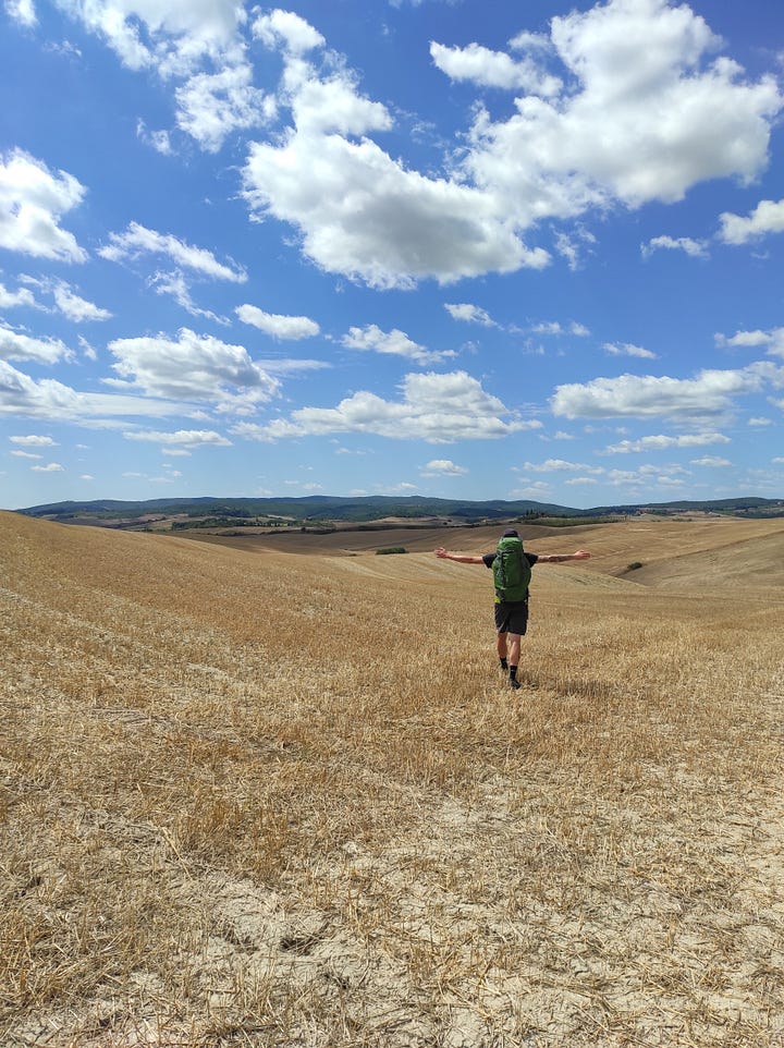 via francigena 2021. girasoli e panorama toscani