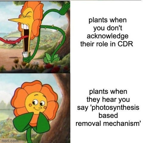 Two panels of the Cagney Carnation flower from Cuphead. Screaming: "plants when you don't acknowledge their role in CDR." Blushing: "plants when they hear you say 'photosynthesis based removal mechanism'."