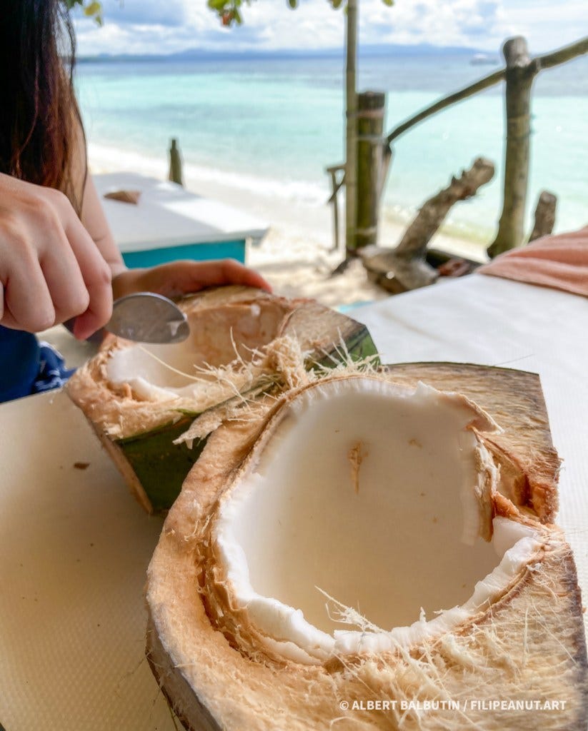 Coconut or buko cracked open with meat