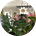 melchemy ✨'s avatar