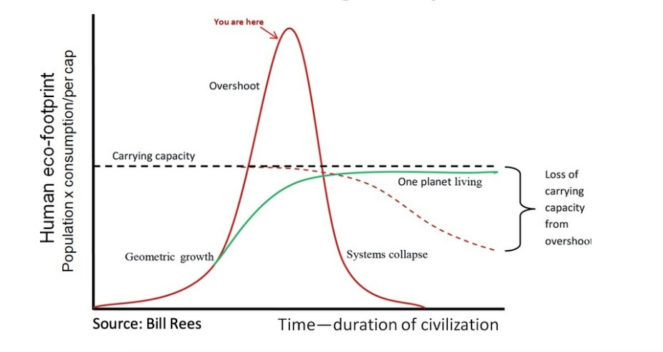 Overshoot Rees - MAHB Overshoot Rees - MAHB