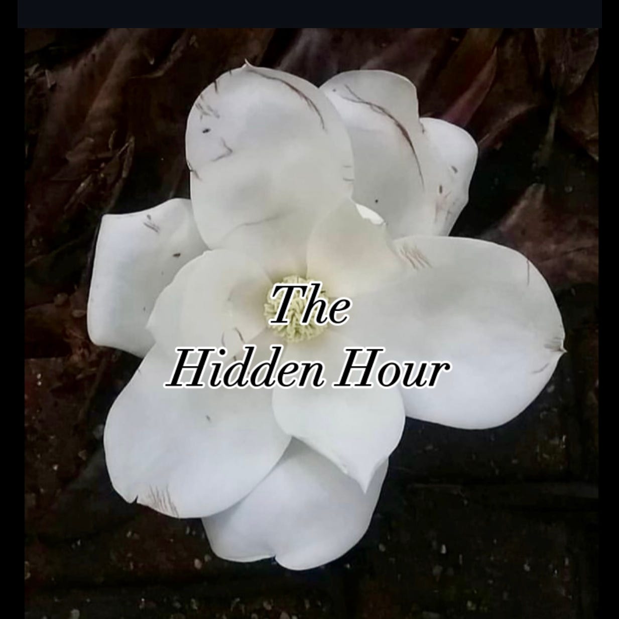 The Hidden Hour