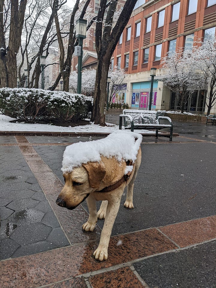 Stray dog sculpture.
