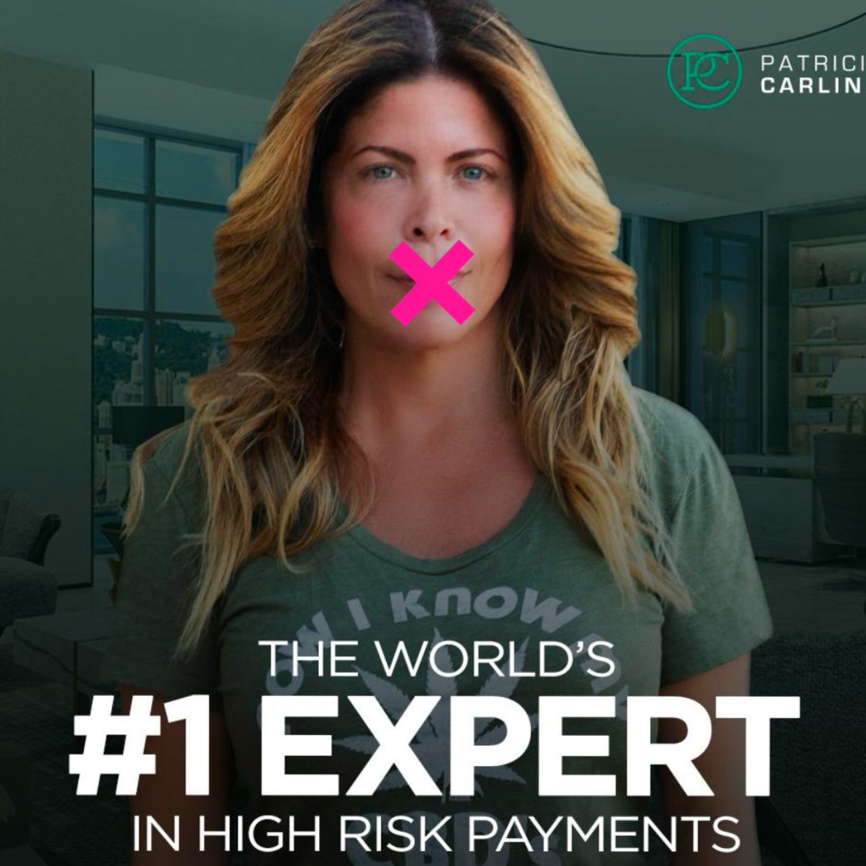 Swipe: Confessions of an Internet Payments Girl