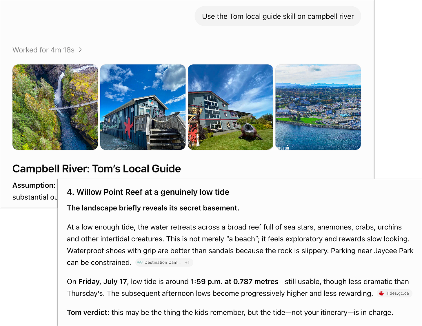 A screenshot of chatgpt tom local guide skill A screenshot of chatgpt tom local guide skill