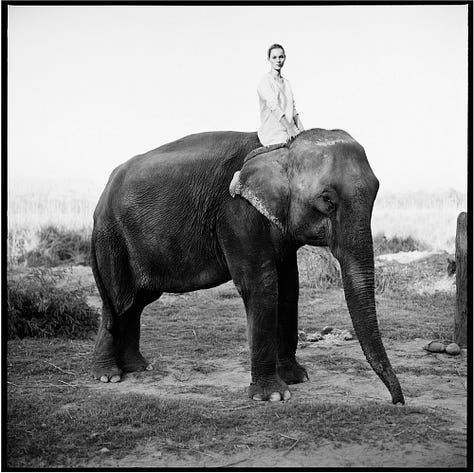 Camera Crazy: A Moment with Arthur Elgort - by Ali O'Keefe
