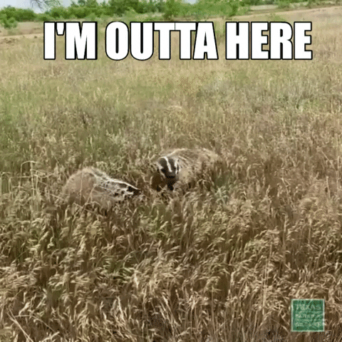 Texas Parks and Wildlife run away badger time to go im outta here GIF
