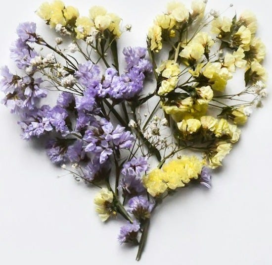 dried flowers arranged in the shape of a heart dried flowers arranged in the shape of a heart