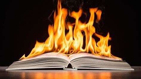 Image result for book burning pics