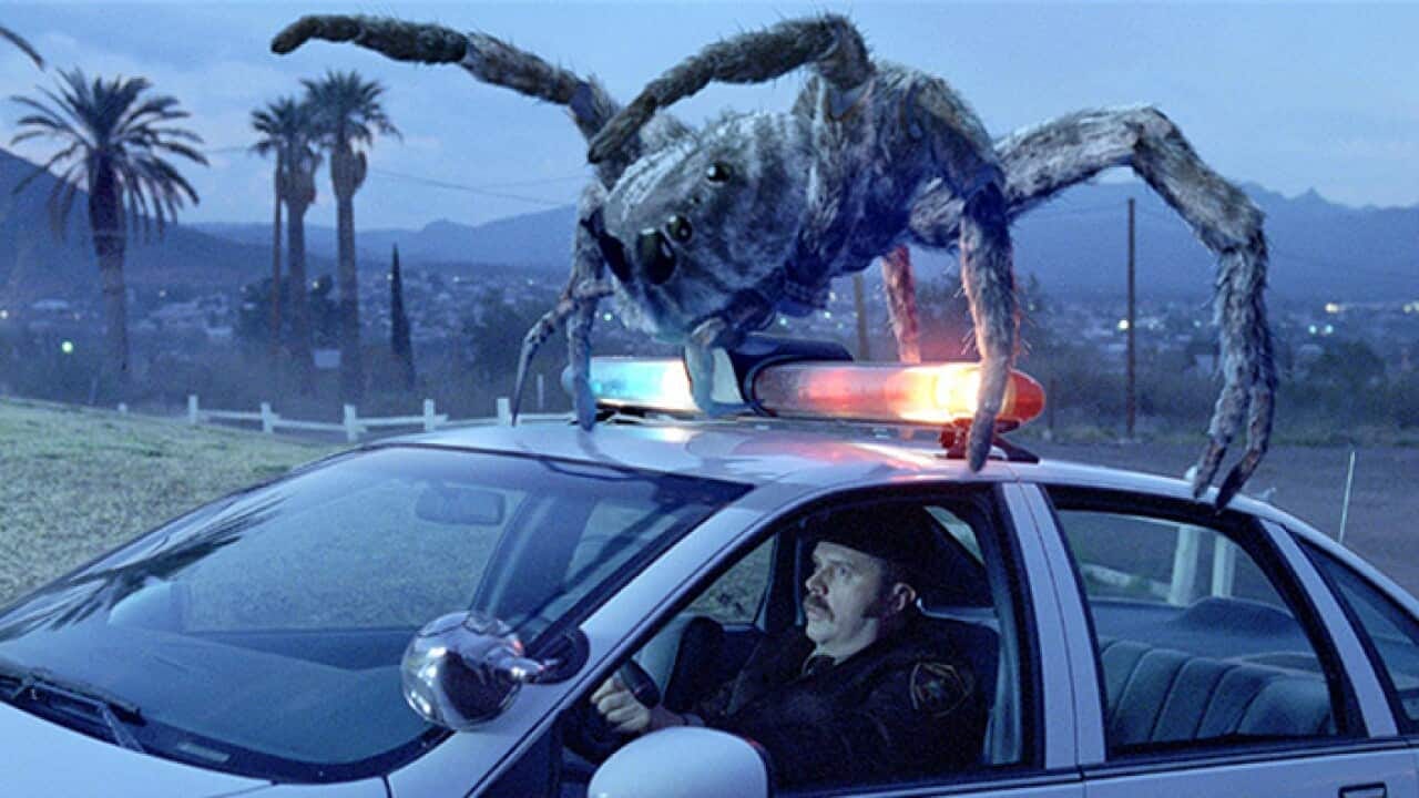 SBS 2: Monster Movie Mayhem | SBS What's On
