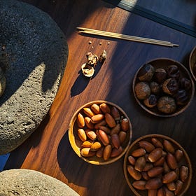 Cooking in the footsteps of the Jomon, a prehistoric year old Japanese culture