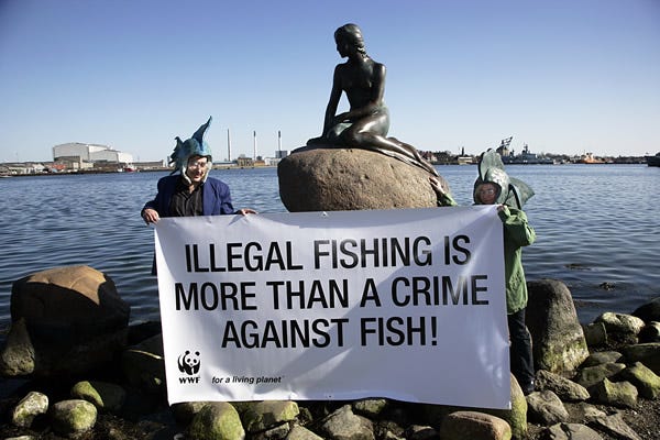 A recipe for ending illegal fishing in the Baltic Sea | WWF