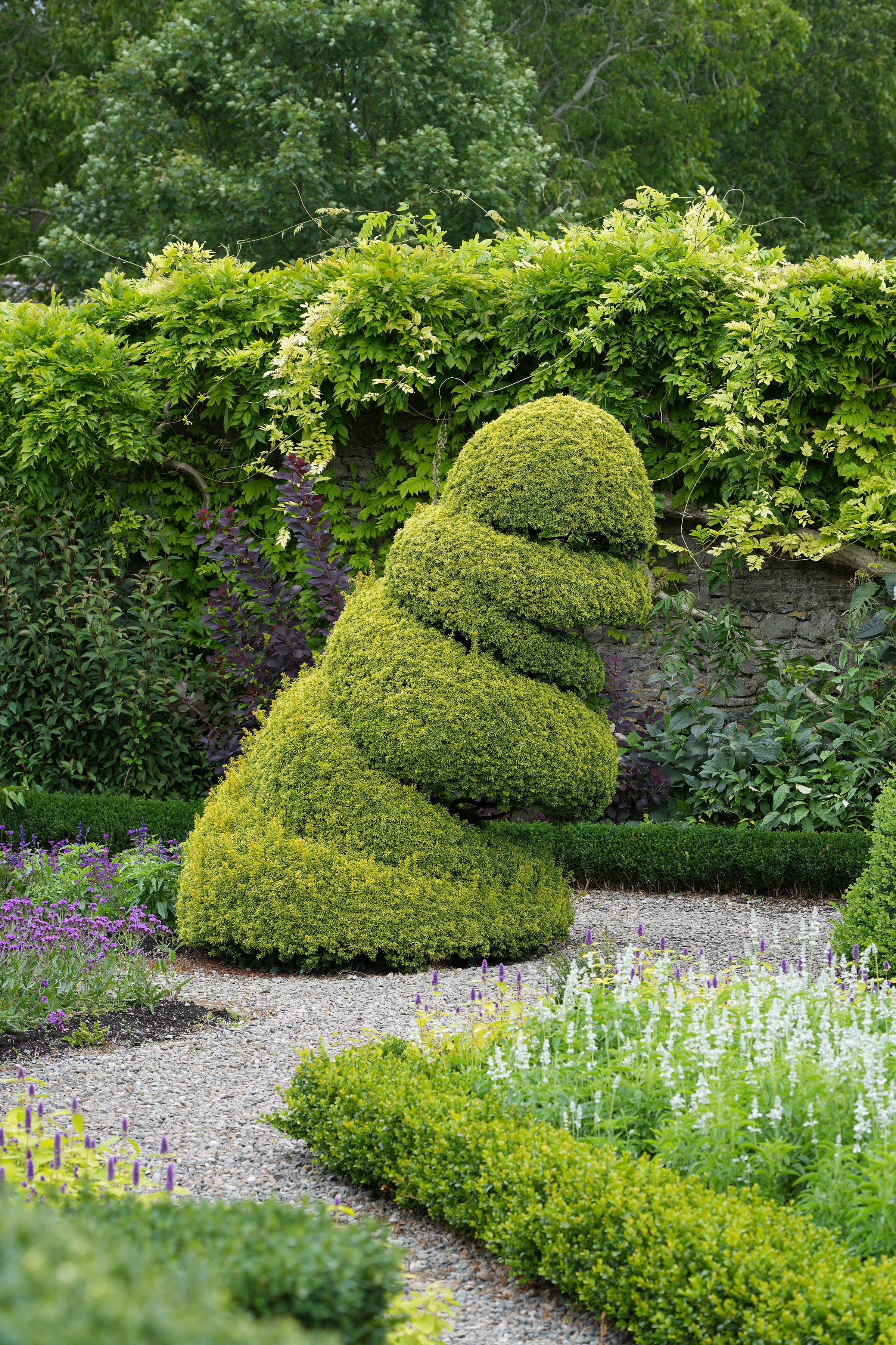 Levens Hall garden topiary