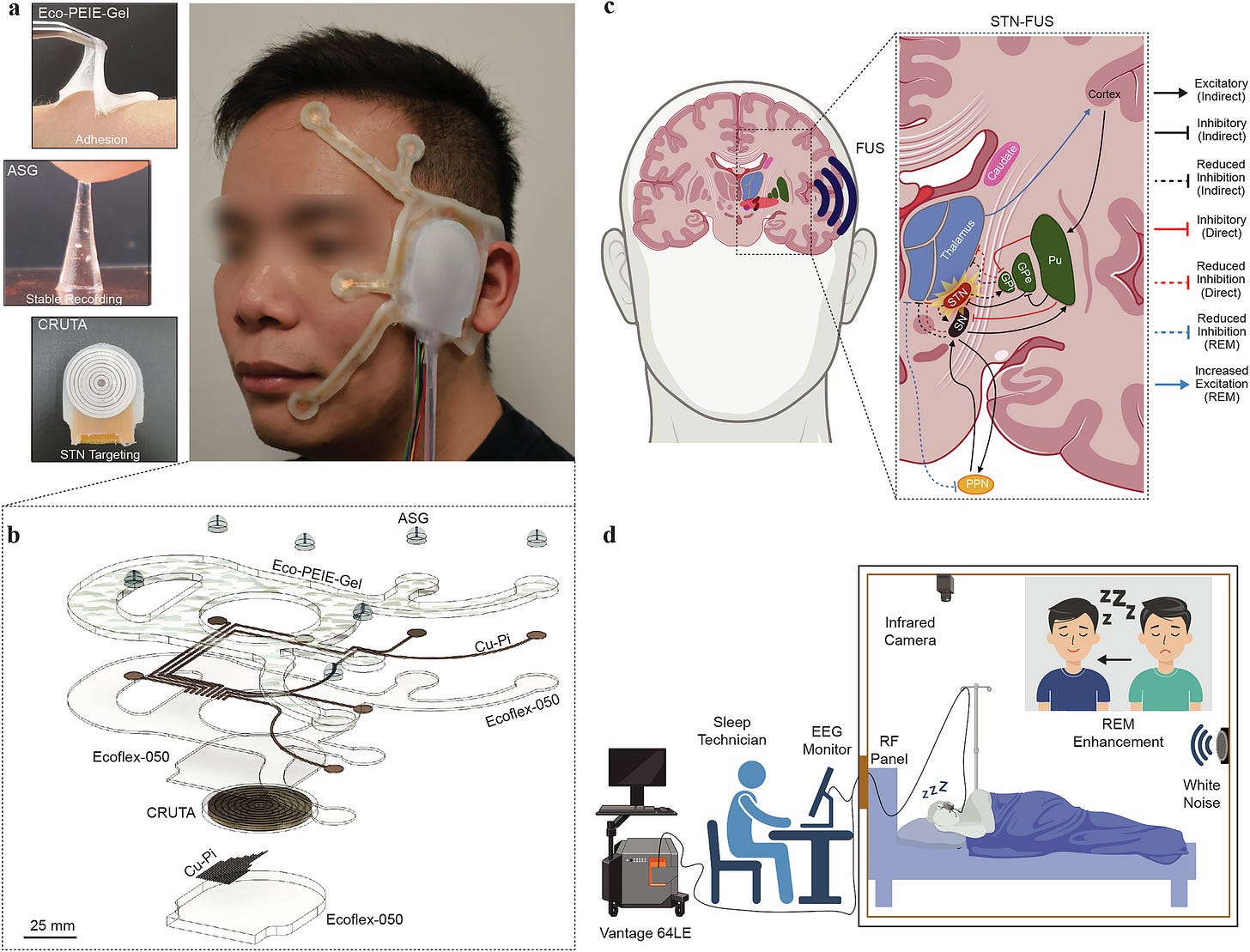 Fig. 1: Overview of NEUSLeeP. Fig. 1: Overview of NEUSLeeP.