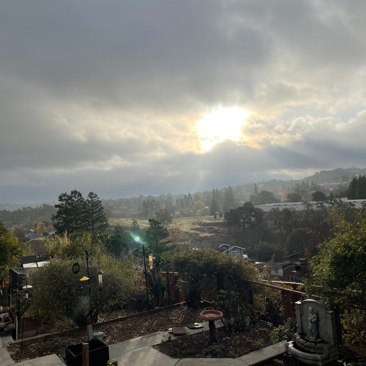 The View from My Window