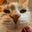Kristen X's avatar