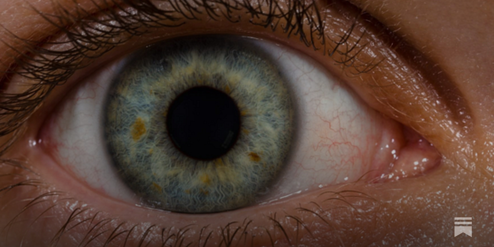 https://jonn.substack.com/p/the-eyeball-problem social preview image