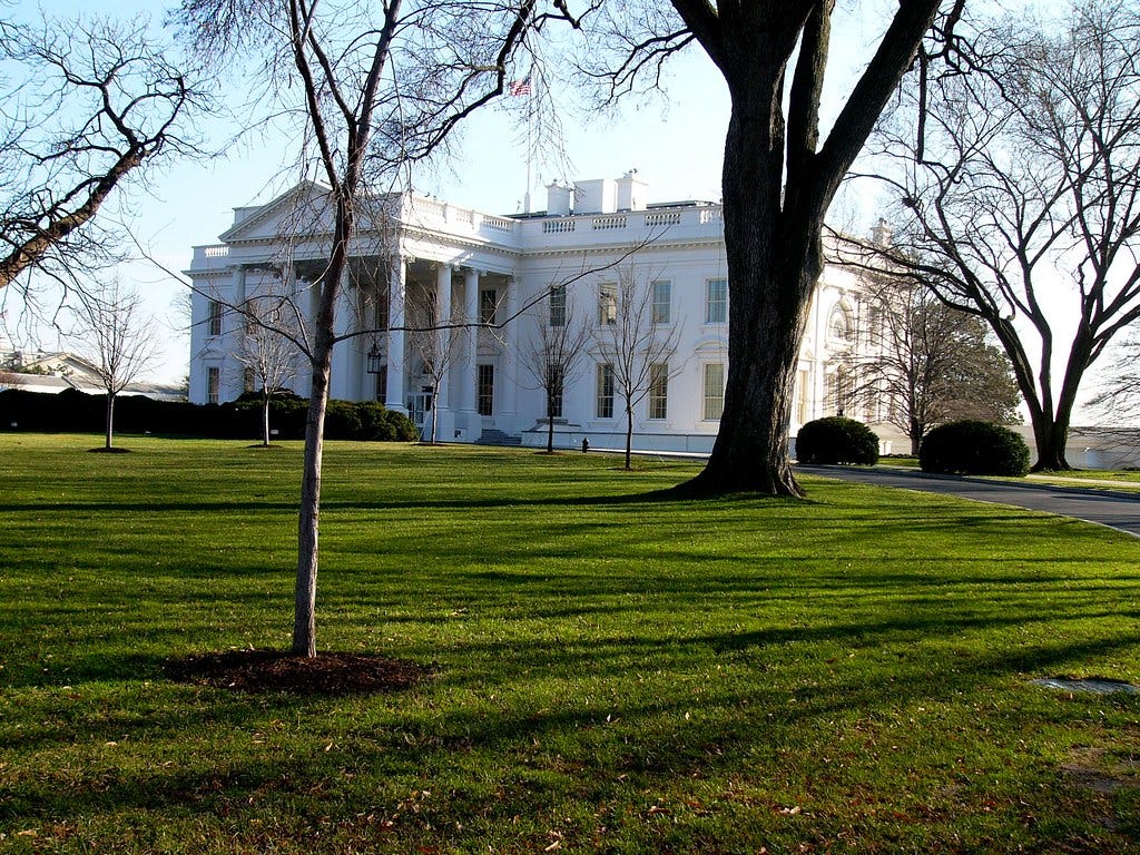 White House AI release image