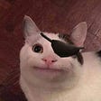 Eye Patch Jack's avatar