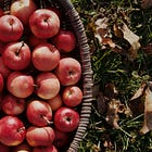 38. The Wild Enchantment Club | Plenty and celebrating apples