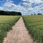 The path to post-work