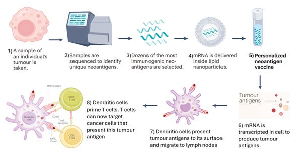 An update on mRNA cancer vaccines