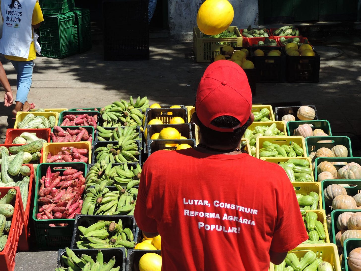 Agroecologia - MST Agroecologia - MST