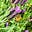 Natasha's Poetry Blog's avatar