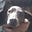 Judy S. Lentz (Sighlentz)'s avatar