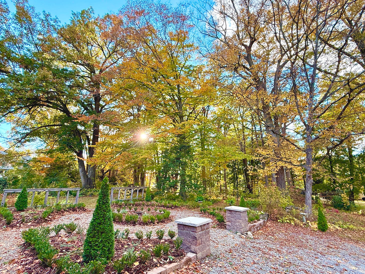 Sunset over the Woodland and Entry Gardens at Havenwood for October