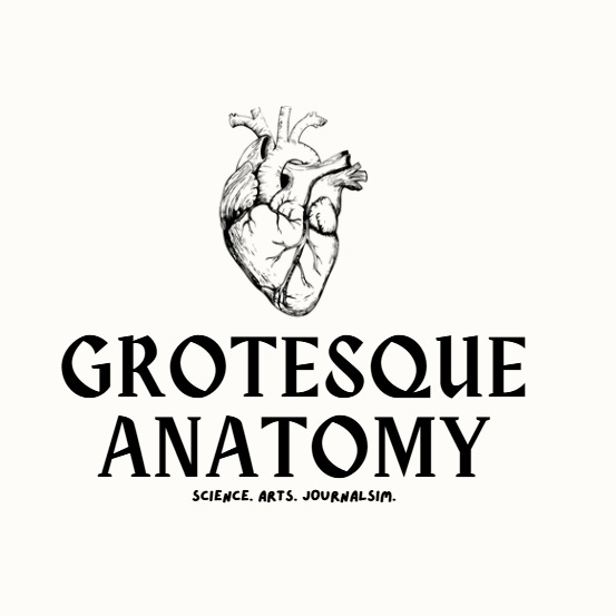 The Grotesque Anatomy Blog