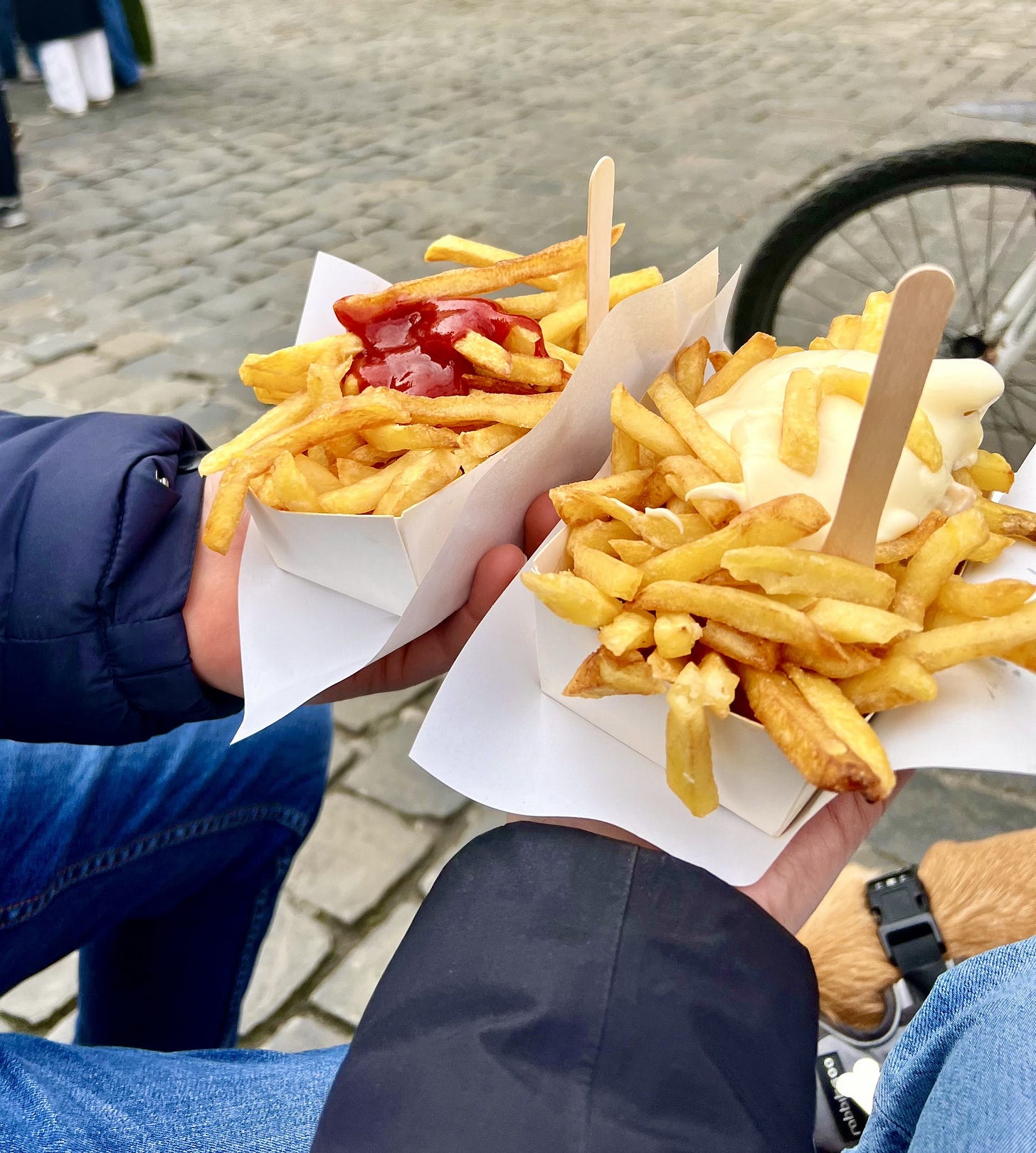 Belgian frites