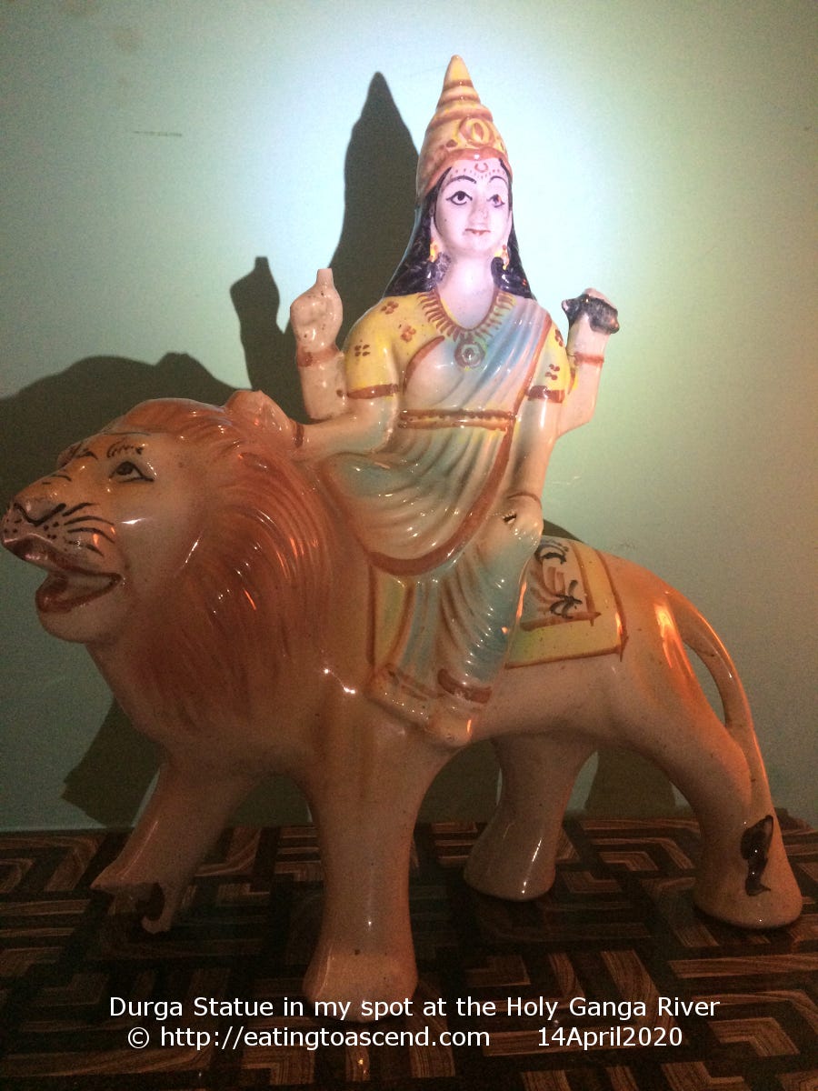 DurgaStatueFromGangaRiver14April2020a