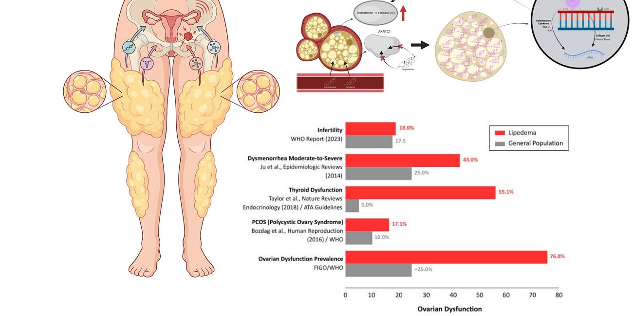 When Lipedema and Gynecologic Health Collide