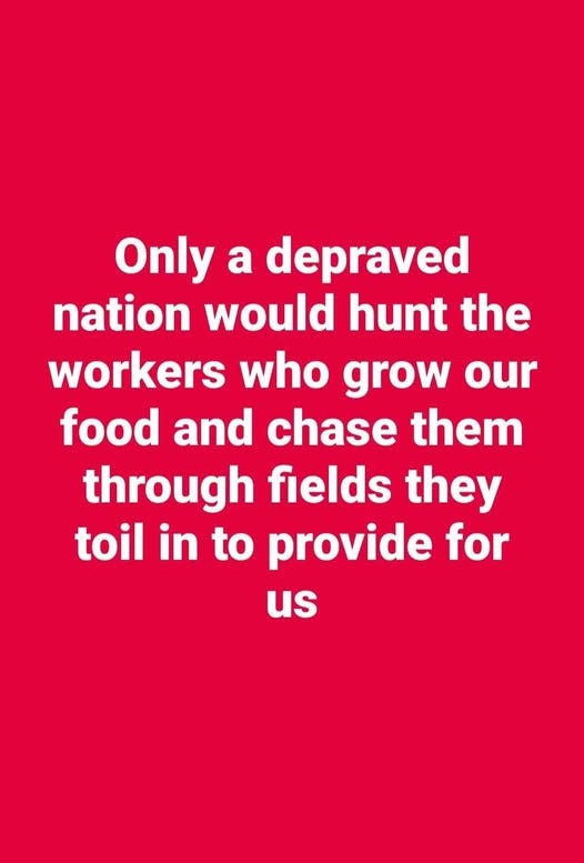 May be an image of grass and text that says 'Only a depraved nation would hunt the workers who grow our food and chase them through fields they toil in to provide for us'