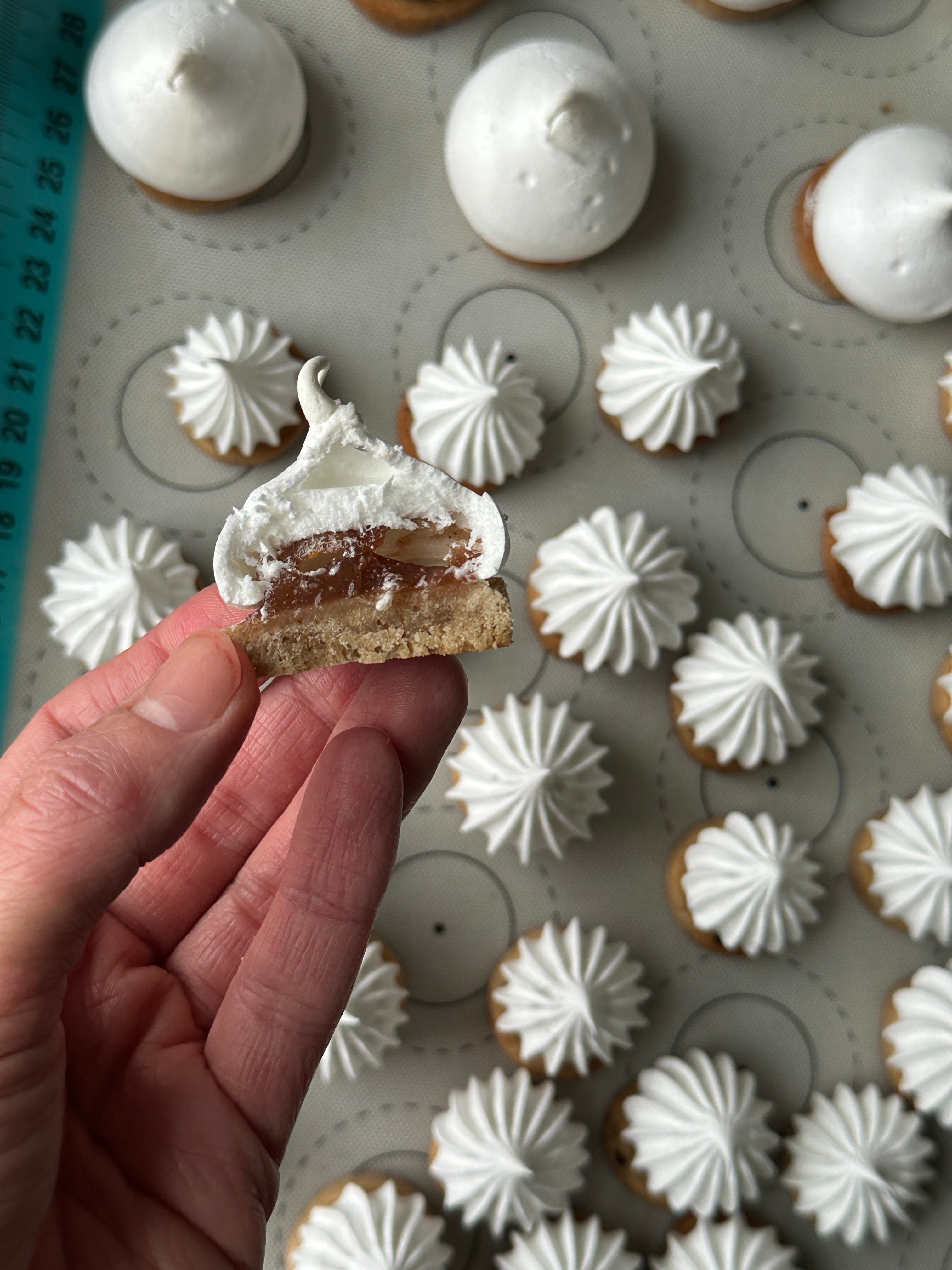 KP+: Christmas Biscuit Bonanza continued - by Nicola Lamb