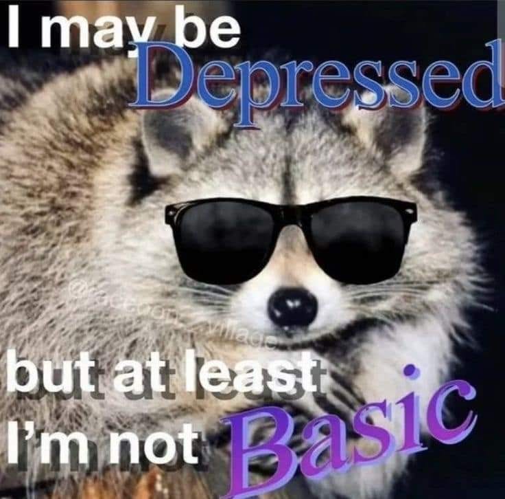 raccoon meme saying: " I MAY BE DEPRESSED BUT A LEAST IM NOT BASIC"