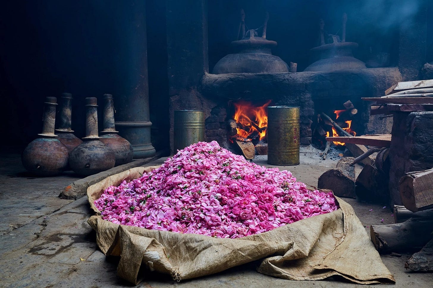 Making of Rose Attar Making of Rose Attar