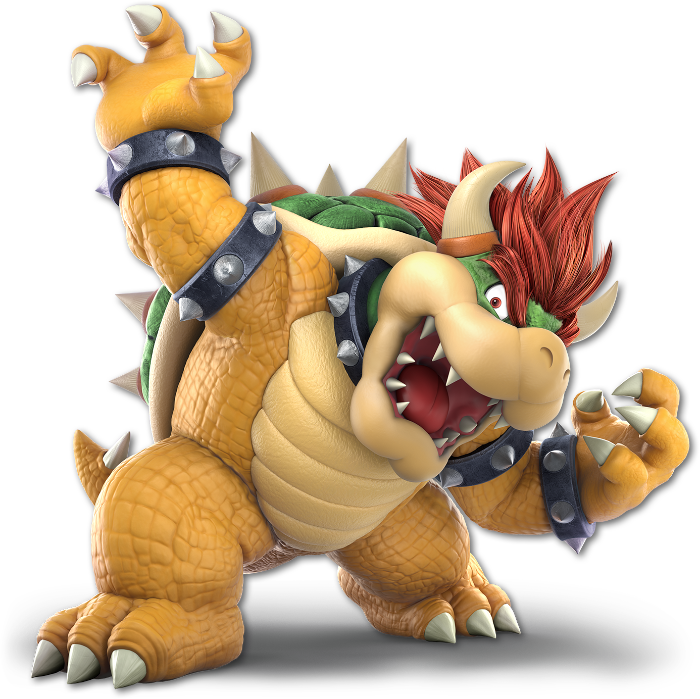 bowser bowser