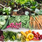 What Are The Benefits Of Small-Scale Crop Rotation In Your Garden?