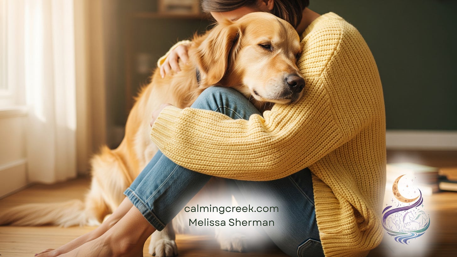 Person sitting with dog on floor, calm and connected moment with pet.